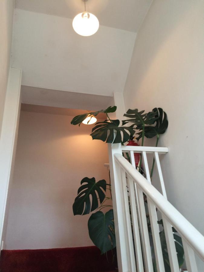 Fern Cottage ドーチェスター エクステリア 写真